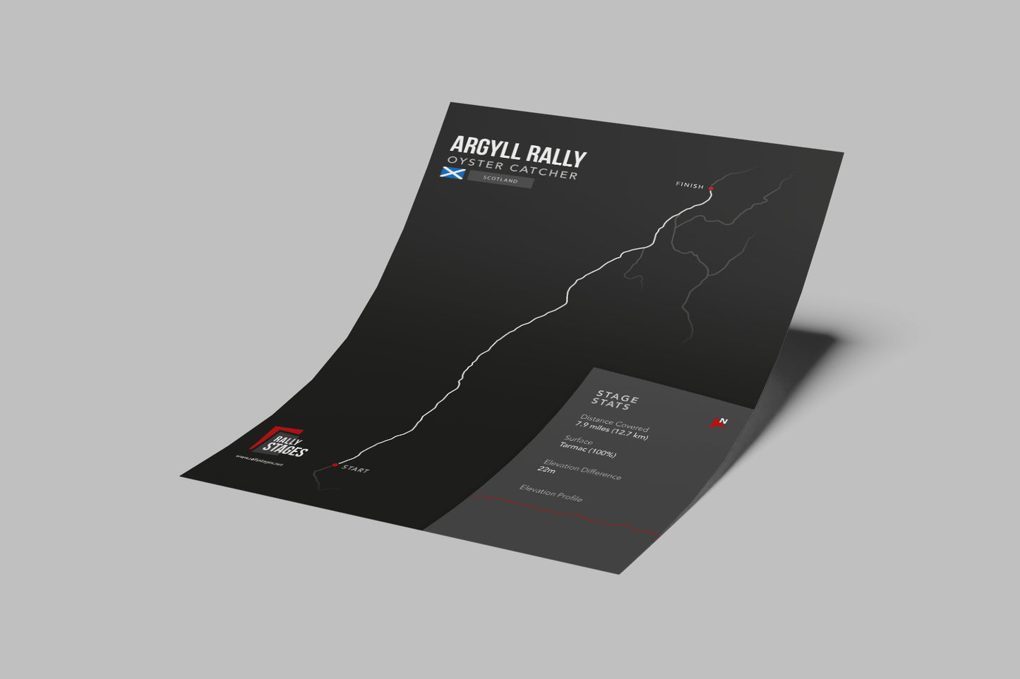 A3 Argyll Rally, Oyster Catcher Poster