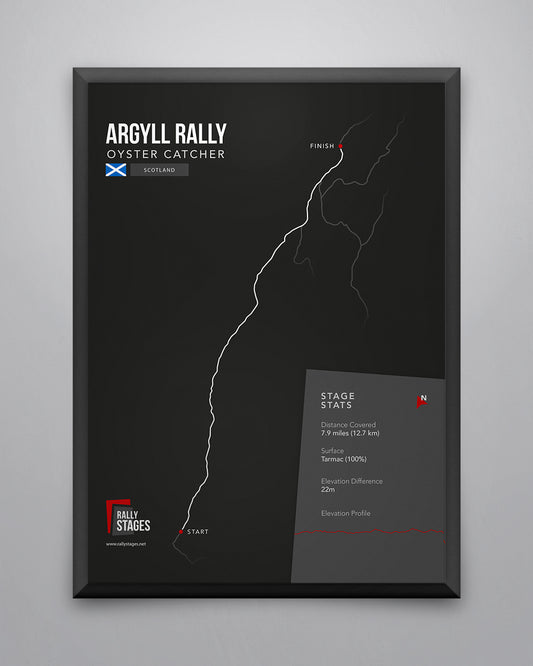 A3 Argyll Rally, Oyster Catcher Poster